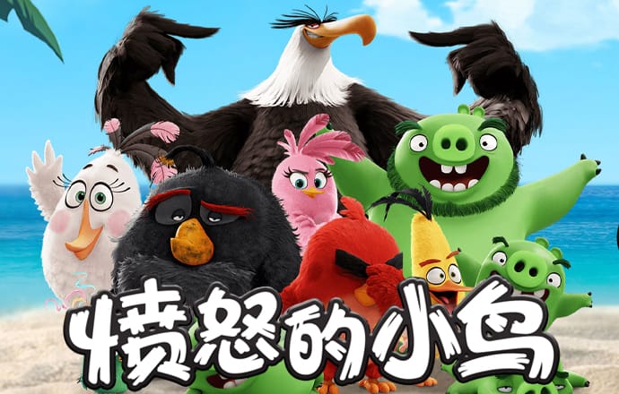 bibo必博体育官网